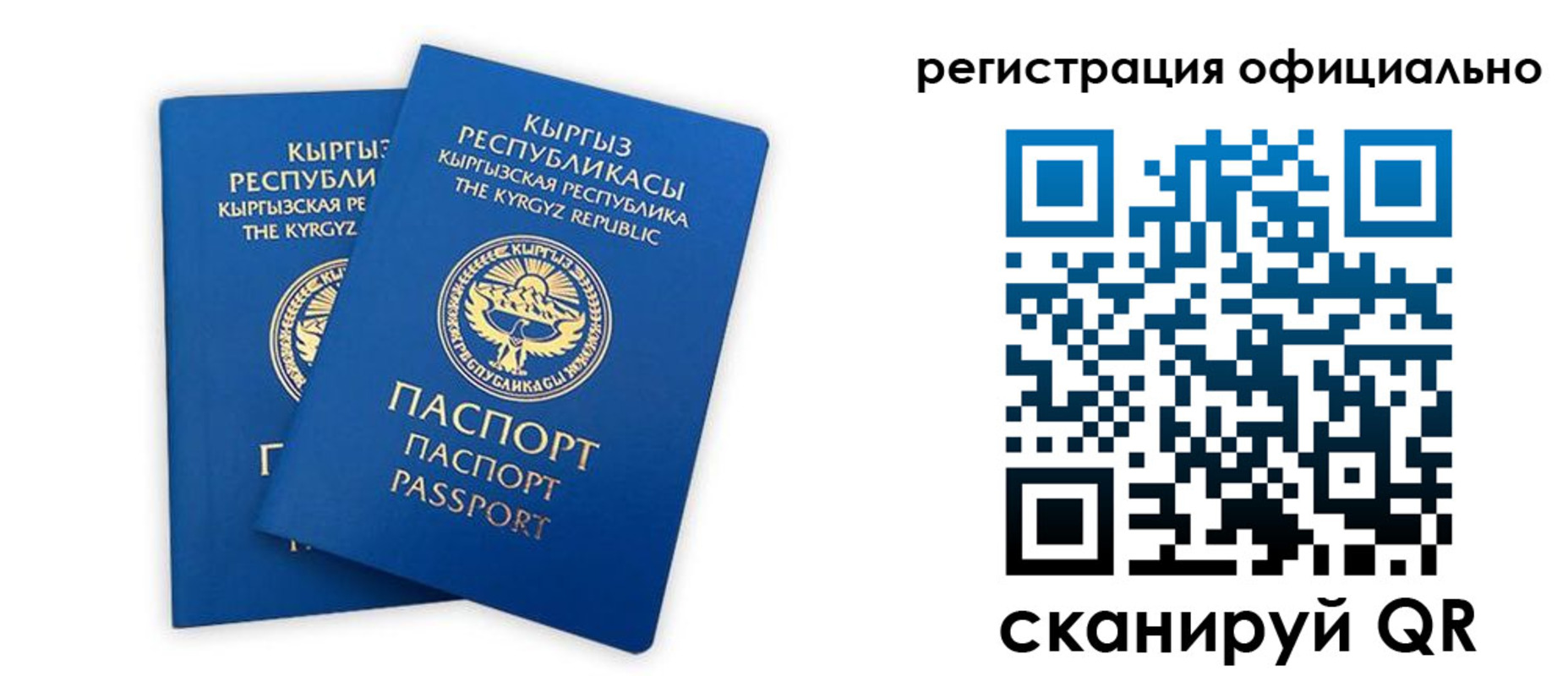 прописка поиск в Удачном